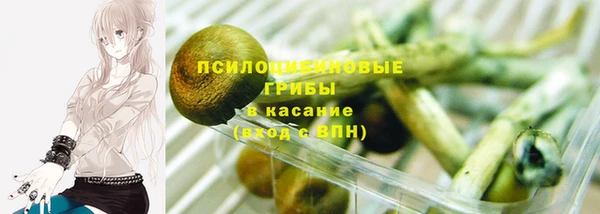прущие крисы Вязьма