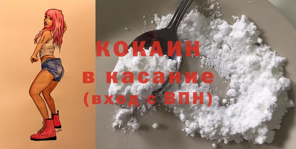 МДПВ Вяземский