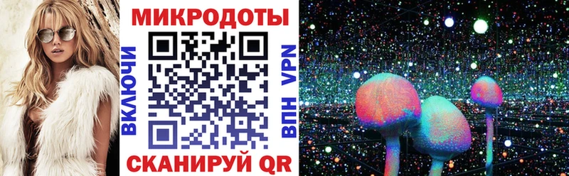 OMG как войти  Высоцк  Галлюциногенные грибы мухоморы 